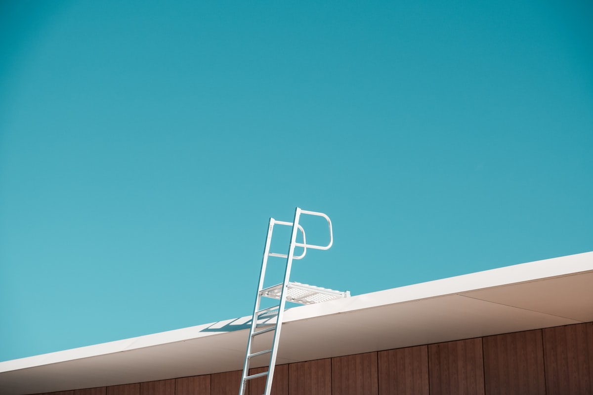 A ladder set against the side of a house for gutter cleaning